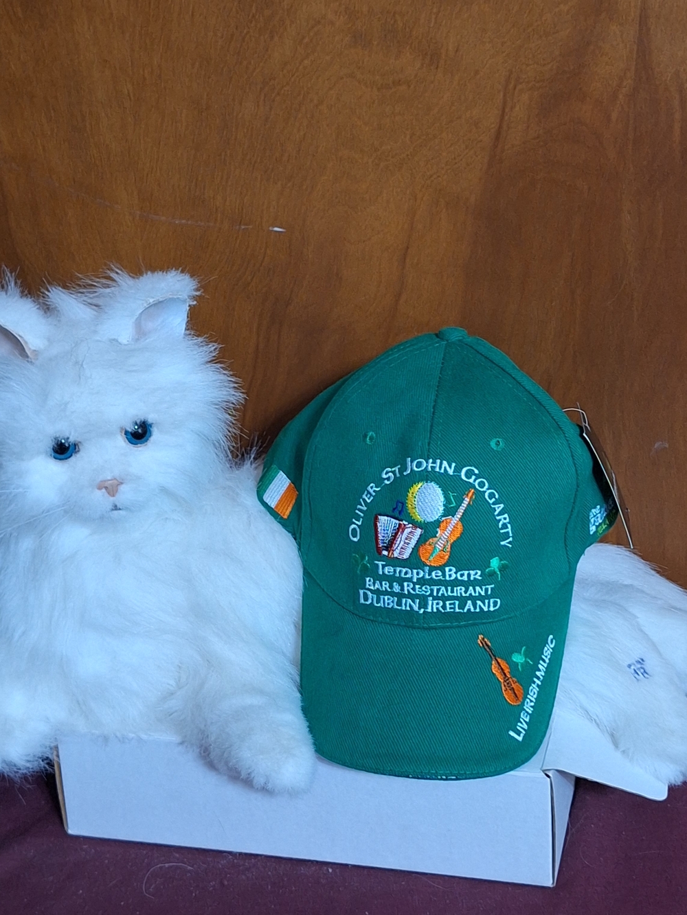 Green Dublin Temple Bar Souvenir Baseball Cap
